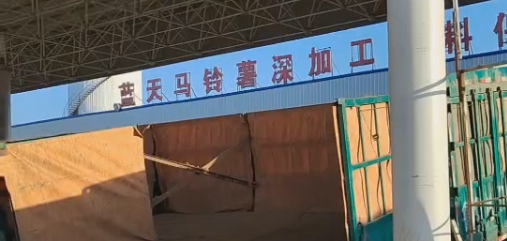 2023甘肃兰天公司马铃薯生产现场