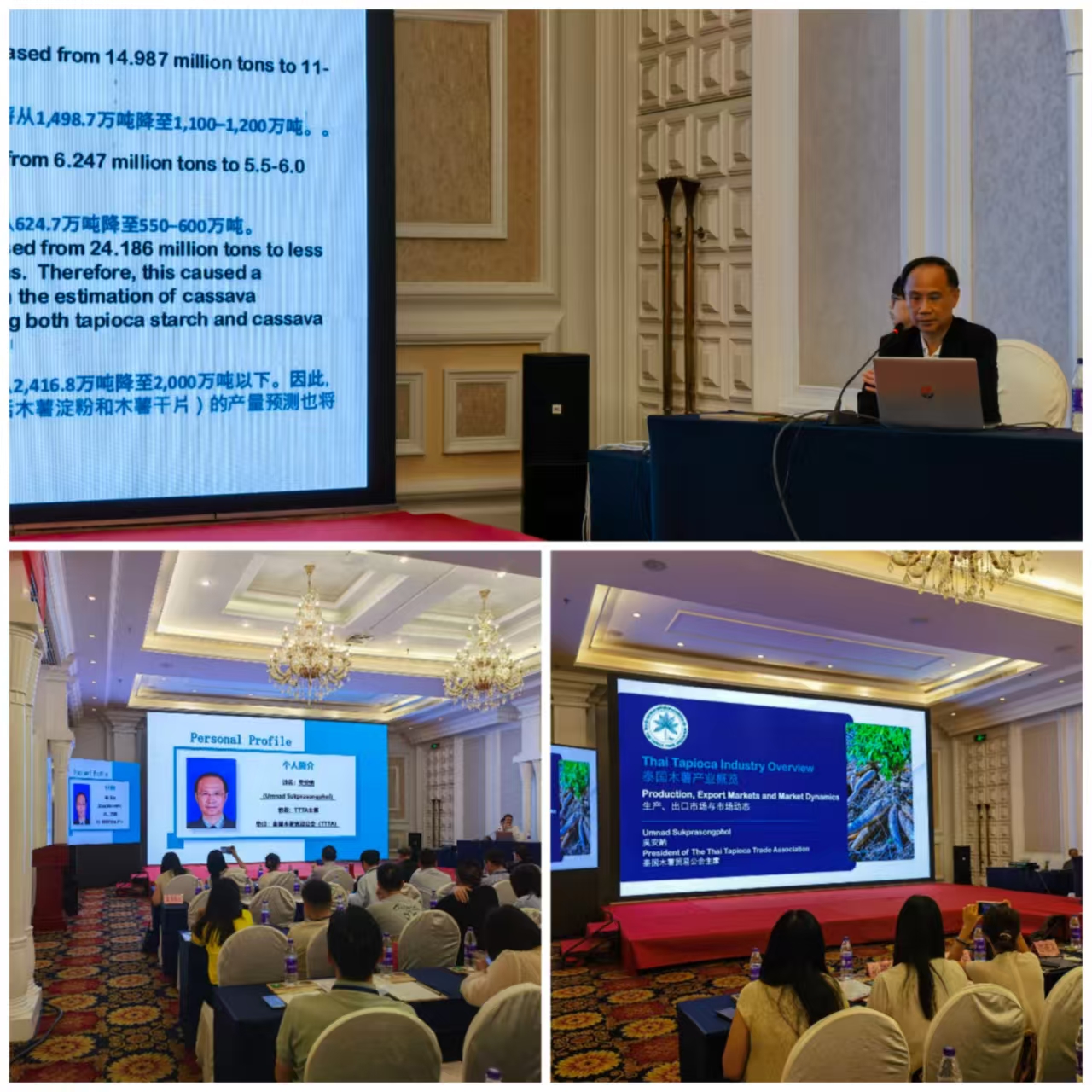 China, Guilin 2026 International High-End Symposium on the Production and Market